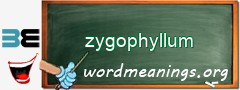 WordMeaning blackboard for zygophyllum